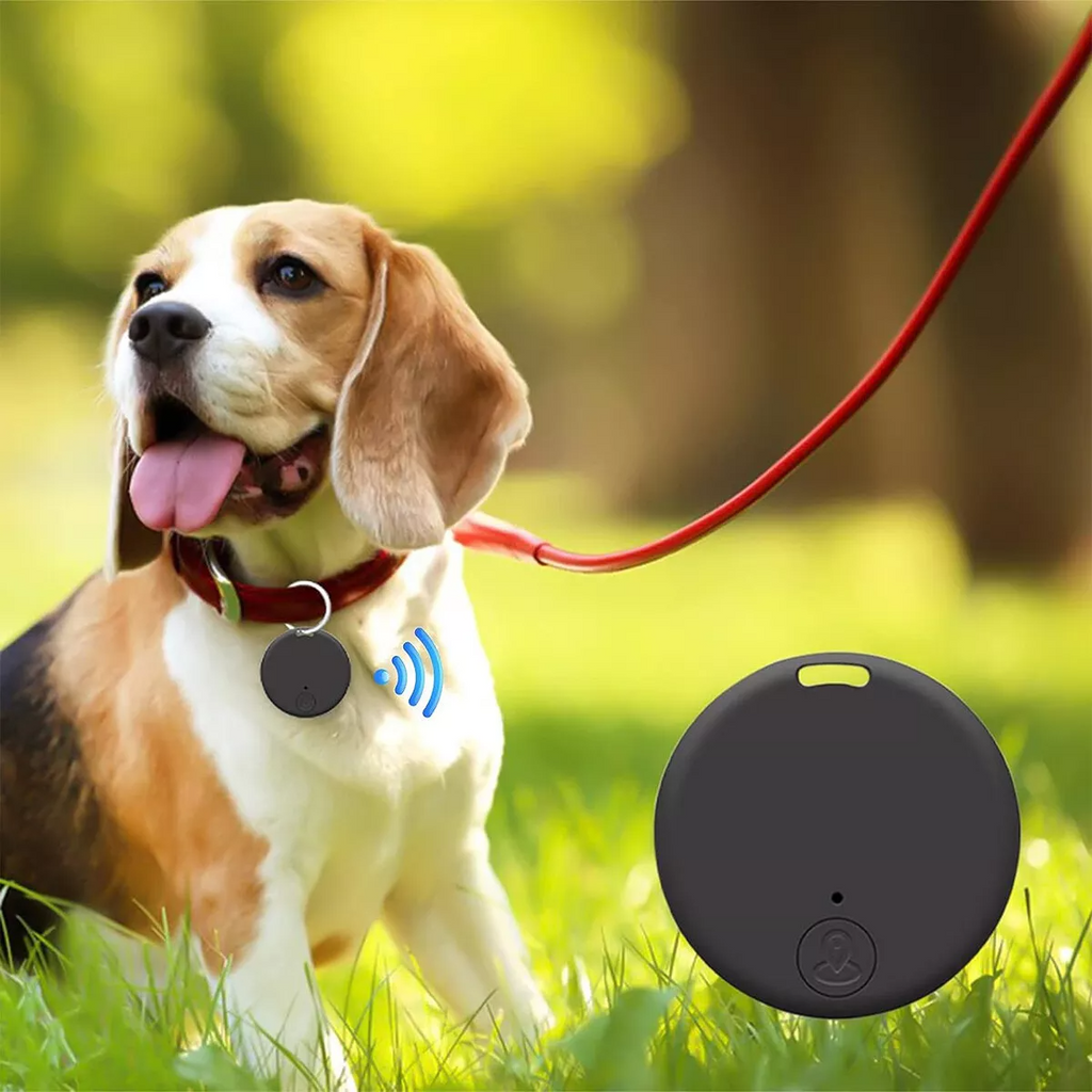 Compact Bluetooth GPS Tracker for Pets & Kids