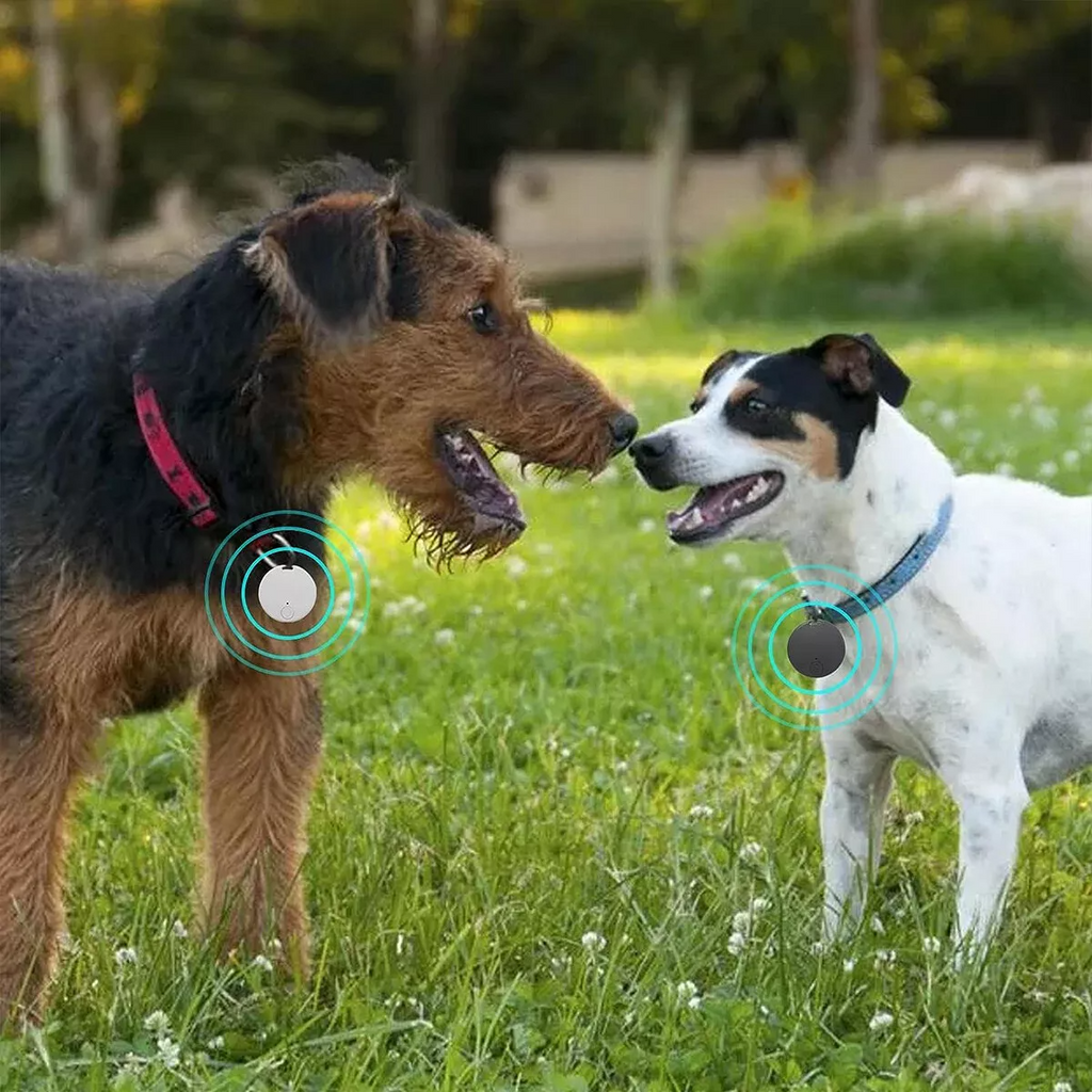 Compact Bluetooth GPS Tracker for Pets & Kids